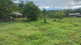 Land for sale in Tabat, Iloilo