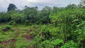 Land for sale in Dalirig, Bukidnon