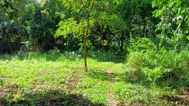 Land for sale in San Roque, Rizal