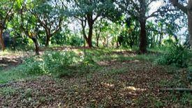 Land for sale in San Roque, Rizal