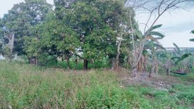 Land for rent in Iba, Bulacan