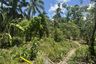 Land for sale in Bagumbayan, Rizal