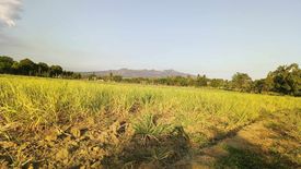 Land for sale in Sabang, Batangas