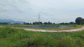 Land for sale in General Lim, Bataan