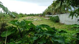 Land for sale in Puting Lupa, Laguna