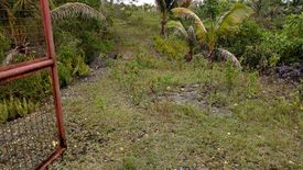 Land for sale in Loreto, Bohol