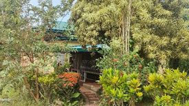 Land for sale in Pusil, Batangas