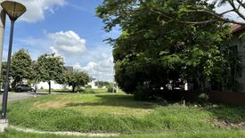 Land for sale in Mampalasan, Laguna