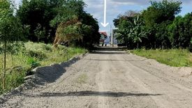 Land for sale in Santa Cruz, Pampanga