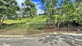 Land for sale in Puting Kahoy, Cavite