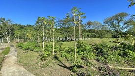 Land for sale in Puting Kahoy, Cavite