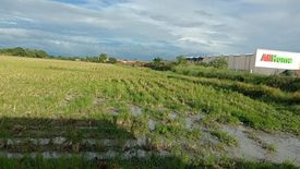 Land for sale in Santo Cristo Sur, Nueva Ecija
