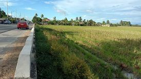 Land for sale in Santo Cristo Sur, Nueva Ecija