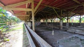 Land for sale in Bulilan Sur, Laguna