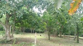 Land for sale in Tambo Ilaya, Cavite
