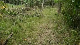 Land for sale in District IV, Antique