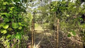 Land for sale in District IV, Antique