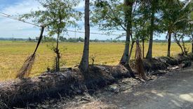 Land for sale in Odiong, Antique