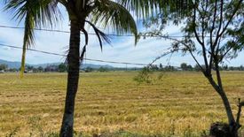 Land for sale in Odiong, Antique