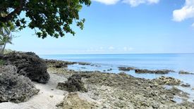 Land for sale in Lisub B, Antique