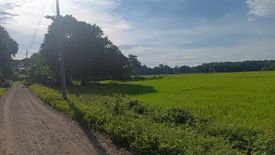 Land for sale in Esperanza, Pangasinan