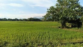 Land for sale in Esperanza, Pangasinan