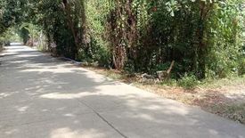 Land for sale in Badiang, Antique