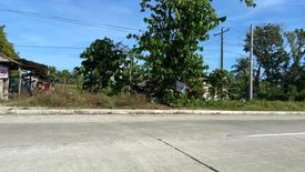 Land for sale in Odiong, Antique