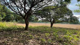 Land for sale in Parang, Bataan