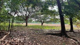 Land for sale in Parang, Bataan