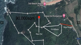 Land for sale in Bucana, Palawan