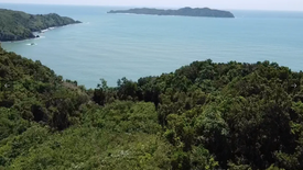 Land for sale in Bucana, Palawan