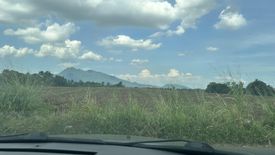 Land for sale in Laiya-Aplaya, Batangas