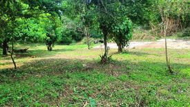 Land for sale in Daine II, Cavite