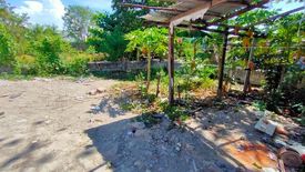 Land for sale in San Isidro, Rizal