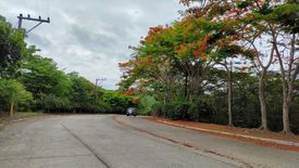 Land for sale in San Isidro, Rizal