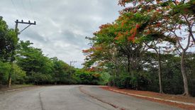 Land for sale in San Isidro, Rizal