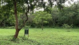 Land for sale in Anvaya Cove, Mabatang, Bataan