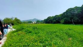 Land for sale in Calapandayan, Zambales