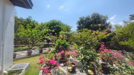 3 Bedroom House for sale in Malupa, Tarlac