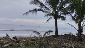 Land for sale in Calala, Antique