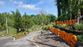 Land for sale in San Guillermo, Rizal