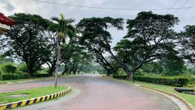 Land for sale in Las Haciendas de Luisita, Santa Cruz, Tarlac