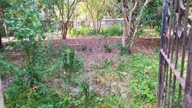 Land for sale in Cacutud, Pampanga