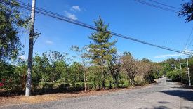 Land for sale in San Isidro, Rizal