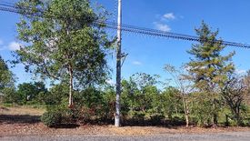 Land for sale in San Isidro, Rizal