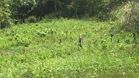 Land for sale in Sampaloc, Rizal