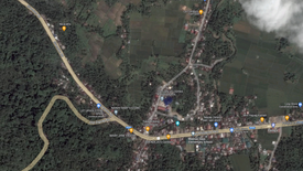 Land for sale in Malinao Ilaya, Quezon