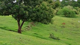 Land for sale in Tanagan, Batangas