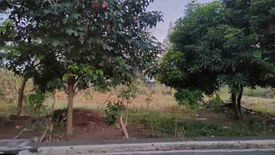 Land for sale in Pinagbuhatan, Metro Manila